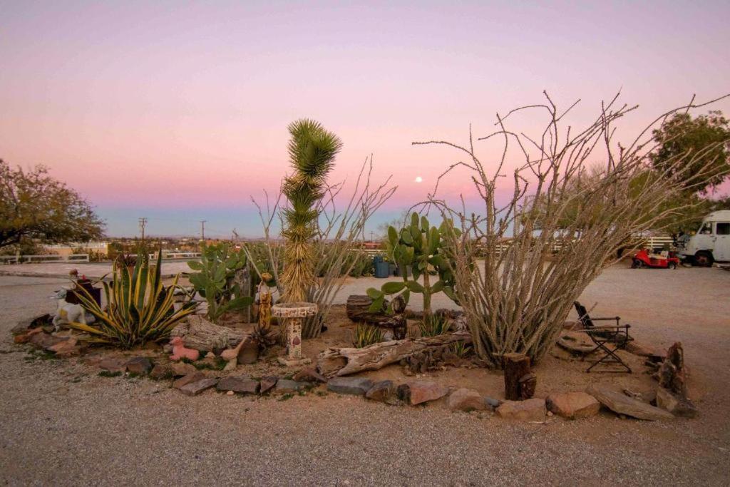 Joshua Tree Ranch House Motel - Downtown - Room #6 Exterior foto