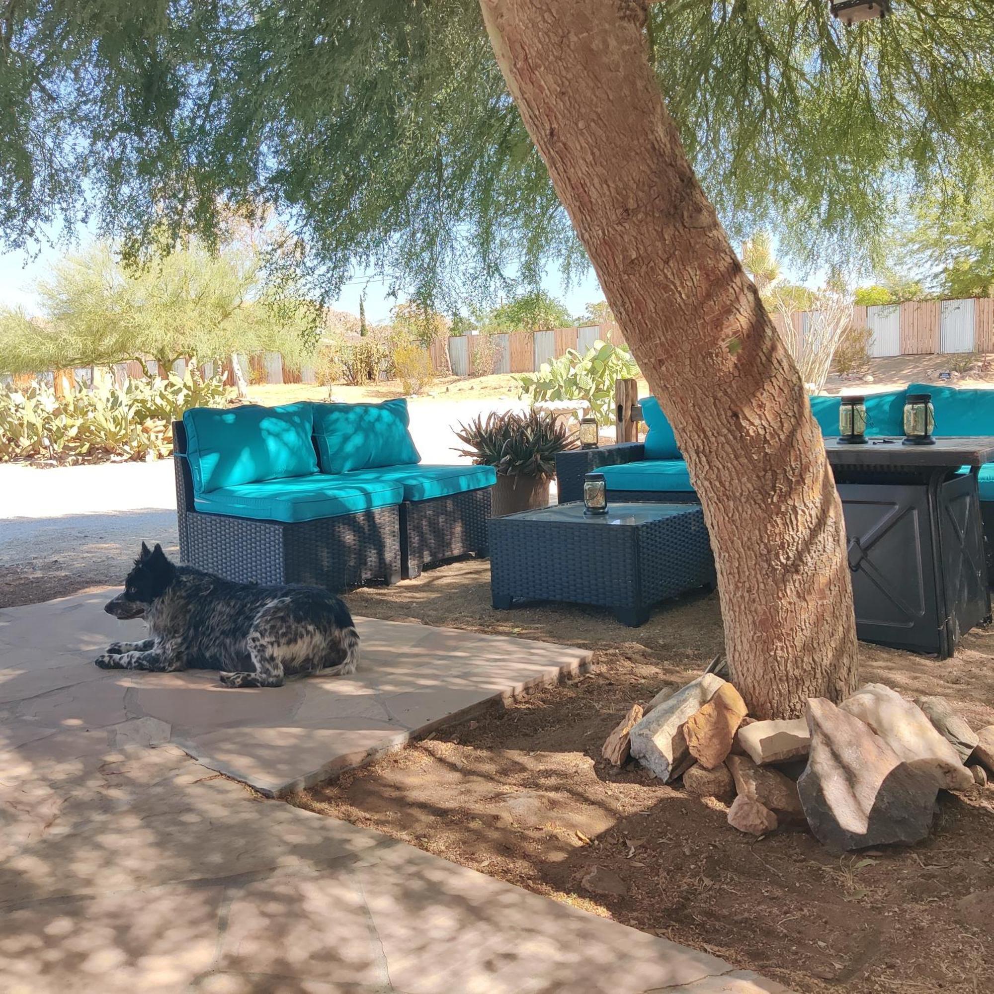 Joshua Tree Ranch House Motel - Downtown - Room #6 Exterior foto
